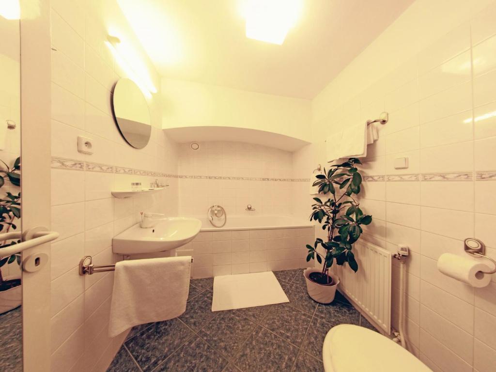 Hotel Zlaty Kohout Mladá Boleslav Buitenkant foto